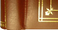 lower left corner
