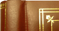 upper left corner